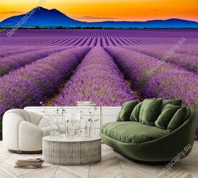 Wizualizacja fototapety z widokiem na pole lawendowe i góry o zachodzie słońca. Fototapeta przeznaczona do sypialni, salonu, pokoju młodzieżowego i wypoczynkowego oraz biura i gabinetu. Optycznie powiększa pokój.